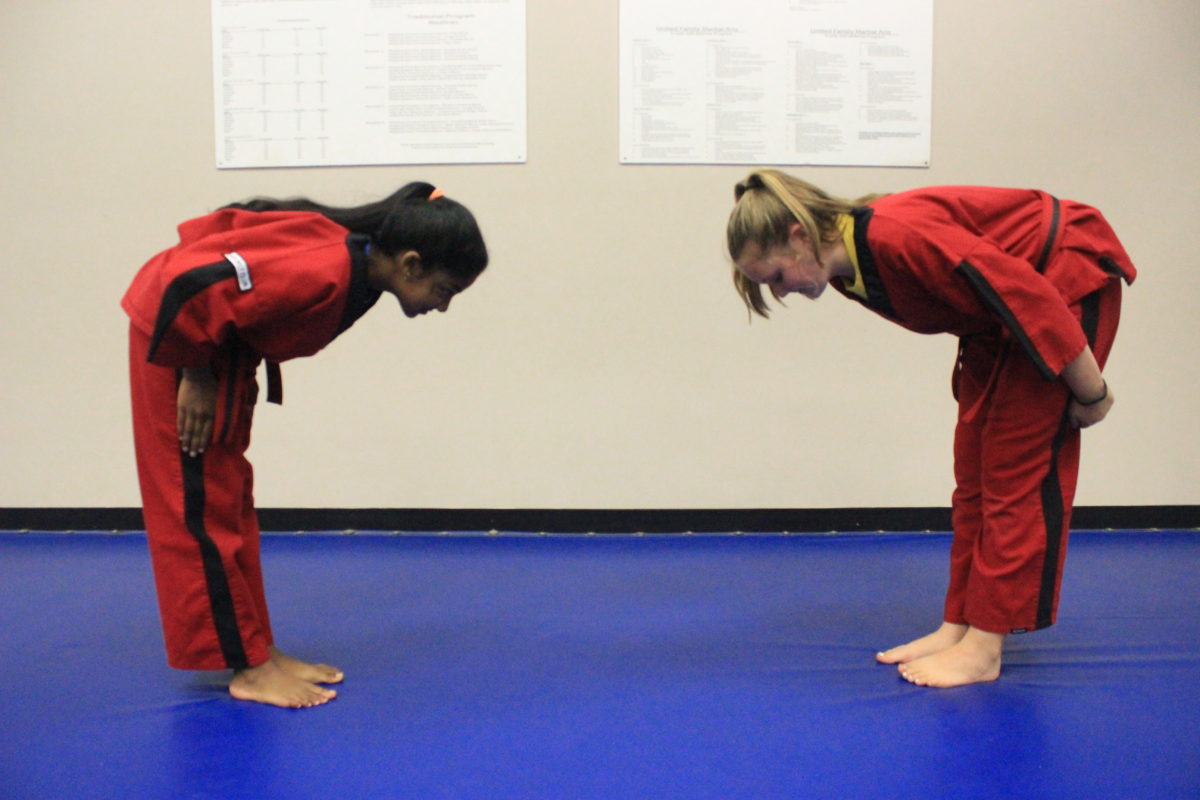 Two karate students bowing to one another